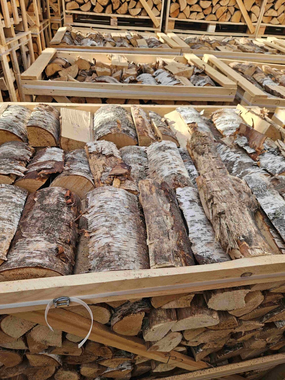 kiln dried birch firewood