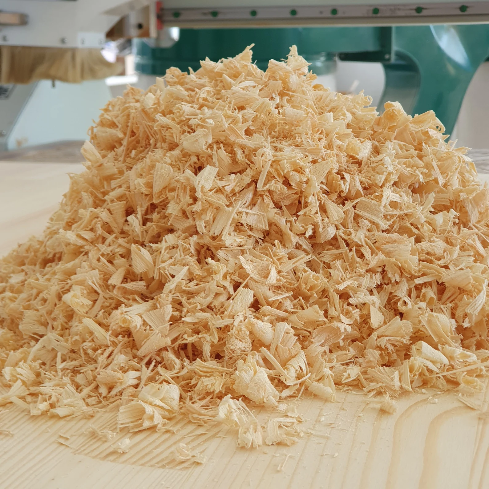 Good Price Bulk Pine Wood Shavings | Wholesale Supply - Image 2